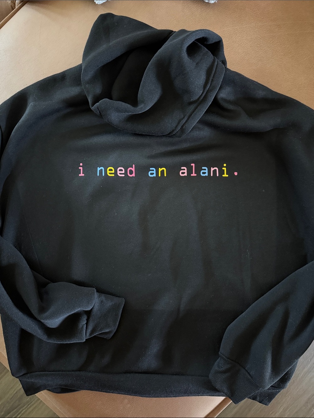 Black Hoodie with 'i need an alani.' Rainbow Logo